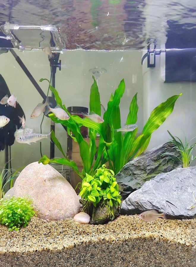 FANTIAN رمل أحواض السمك من فانتيان، وزن 5 أرطال، حجم حبيبات 0.6-1.2 مم، مناسب لأحواض أسماك المياه العذبة. حصى نهري مزخرف لأحواض الأسماك، والنباتات المزروعة في أصص، ومواقد النار، والشموع، والمزهريات، والأعمال اليدوية. - Image 5